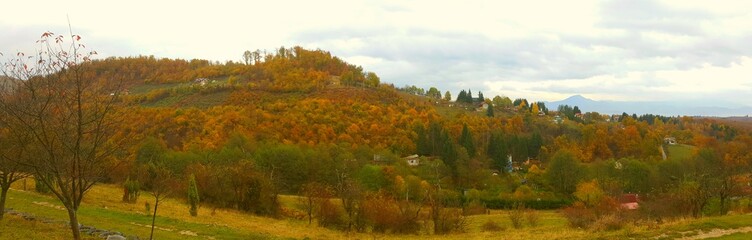 Fototapeta premium autumn landscape with river and trees