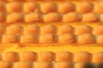 yellow color Cookies closeup macro background view