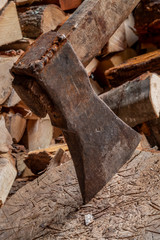 Old Rusty Axe Wedged Into Tree Stump