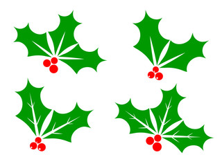 Set Holly berry icons, Christmas mistletoe, graphic design template, Xmas symbols, vector illustration