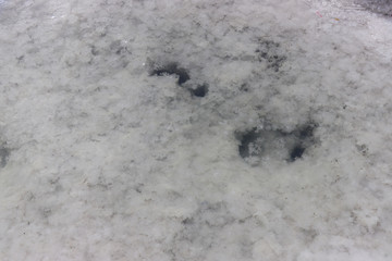 Saline-alkali land in areas around the Dachaidan Emerald Salt Lake, Qinghai Province China. Salt and texture. Crystal salt.