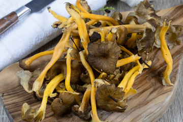 raw wild mushrooms on a cutting board