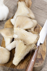 oyster mushrooms	