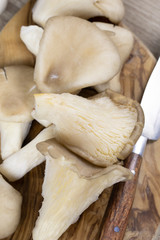 oyster mushrooms	