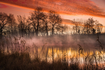Sonnenaufgang im Ried im Elsass bei Rhinau