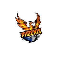 phoenix storm mascot