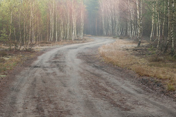 Leśna droga późną jesienią. © boguslavus