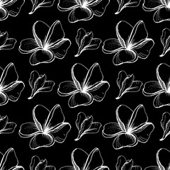 Dark Vector seamless graphic pattern with white  Flowers of Plumeria Alba on the black background. Doodle style. Hand drawing  Frangipani. For texrile design, Fabric. Tissue paper