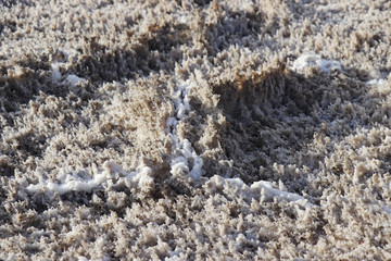 Saline-alkali land in areas around the Dachaidan Emerald Salt Lake, Qinghai Province China. Salt and texture. Crystal salt.