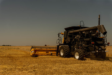 combine harvester working on barley field