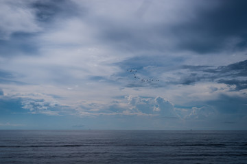 Calm Ocean with birds and clouds