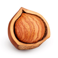 Hazelnuts isolated on white background