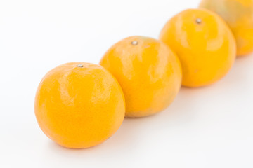 orange fruit on white background