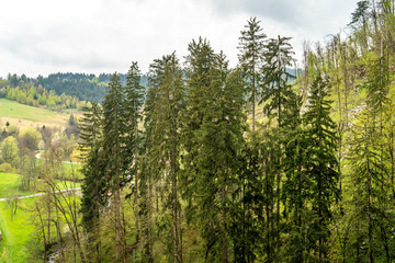 View from the Predjama Castle (near Postumia caves) with river, town and trees. Rainy day beautiful colors