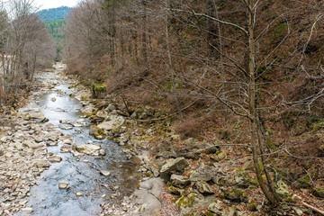 Small , clean little mountain river at winter in the Carpathian mountains.