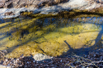 The bottom of a forest river in a Texas city reserve on a sunny December day.