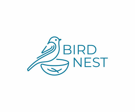 Bird with nest logo design. Bird watching vector design. Birding logotype