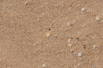 Beautiful horizontal texture of yellow sand with waves and shells is in the photo
