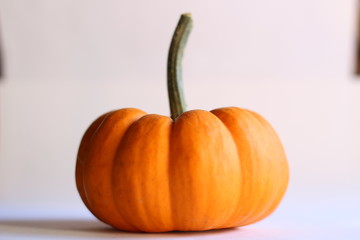 pumpkin isolated on white background