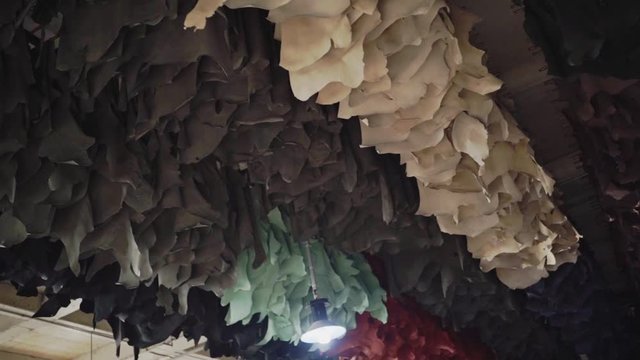 Dyed leathers are hanged for drying  under the factory ceiling. 