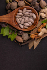 Herbal medicine concept. Herbal drugs in a wooden spoon with different spices on black background in portrait mode