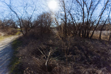 A sunny Christmas day in a Texas city park.