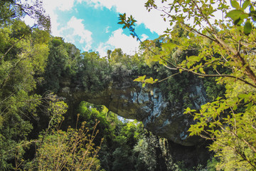 Rock formation at Oparara basin arch, South Island, New Zealand