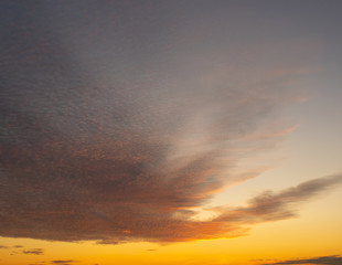 Cirrus clouds against the evening sky illuminated by the golden rays of the setting sun