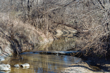 Forest River on a sunny December day in a Texas city reserve.