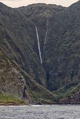 Molokai's Sea cliffs - Hawaii