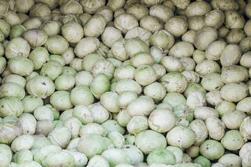 a lot of brussels sprouts for background uses. Background of cabbage