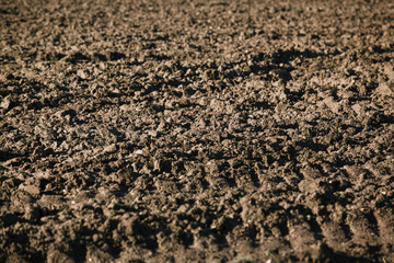Ploughed field. Background from a plowed field