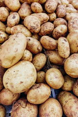 Potato. Background and potatoes. Beautiful background from a lot of photographer