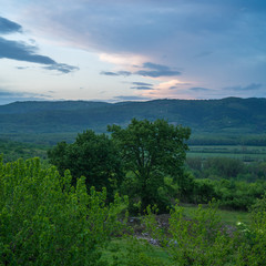 tree at dusk in the croatian countriside forest with clouds over the mountain