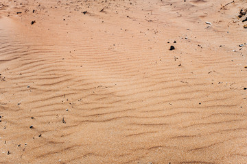 Beautiful sand dunes in desert