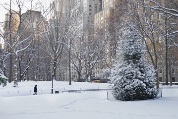 Snowy Day Central Park
