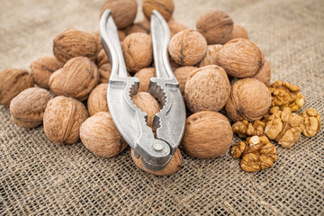 Walnut kernel background. Nutcracker with walnut