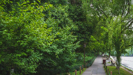 Naklejka premium Path among trees in park by West Lake, Hangzhou, China