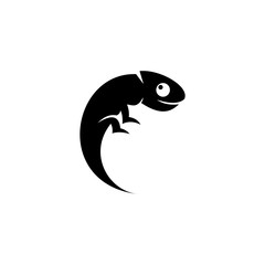 chameleon black vector stock image