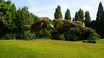 Fototapeta na wymiar Parc de Bréquigny,Rennes