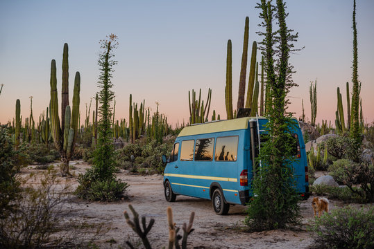 camper van in the desert