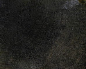 Background from a dark gray sawn tree trunk that managed to dry and become covered with small cracks