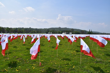 flaga symbol narodowy Polski swieto flagi  © Albin Marciniak