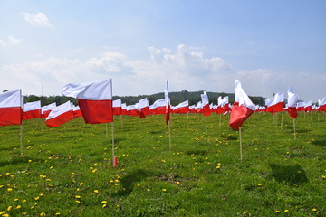 flaga symbol narodowy Polski swieto flagi  - obrazy, fototapety, plakaty