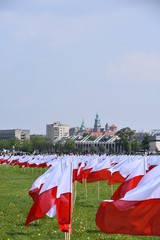 flaga symbol narodowy Polski swieto flagi  © Albin Marciniak