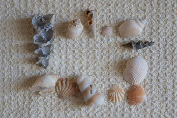 Fototapeta na wymiar Seashells laid out on a towel. Vacation memories