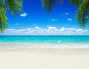 Plakat beautiful beach and tropical sea