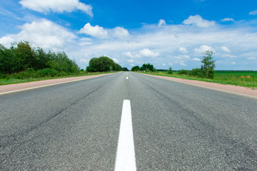 field of grass and perfect sky