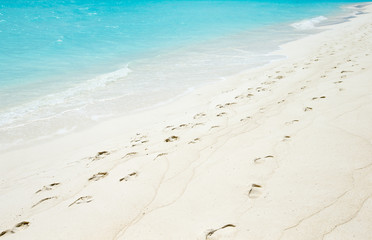 beach and tropical sea . nature background