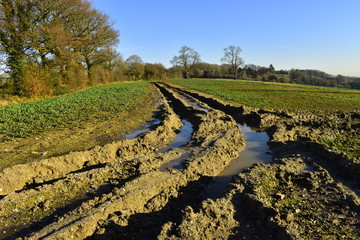 Winter field